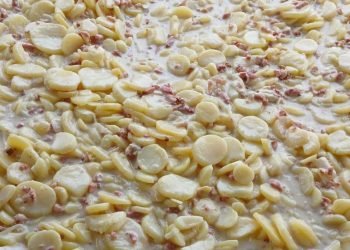 Plat de tartiflette traiteur, plat fait maison servi sur place à Rouen en Normandie.