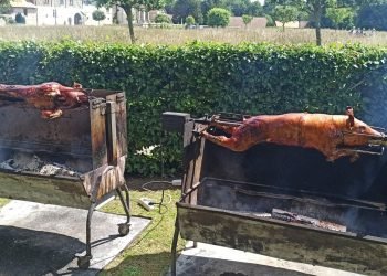 Cochon de lait traiteur Au Vrai Délice deux cochons de lait rôtis à la broche dans un jardin verdoyant, mijotant lentement au-dessus d’un feu de bois en plein air.